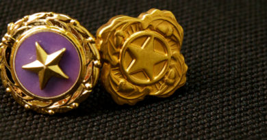 Gold Star pins